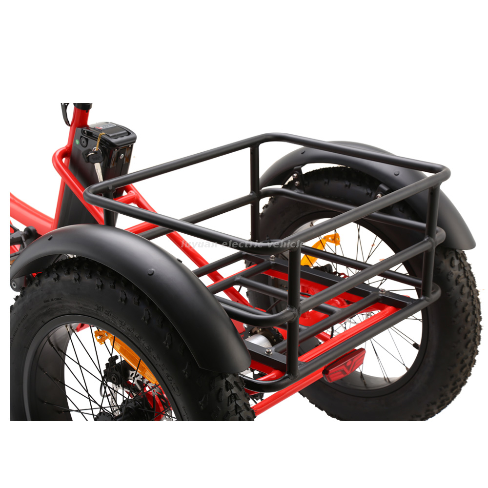 Tricycle électrique ET01