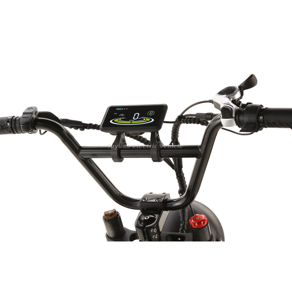Vélo électrique Harley EH 02
