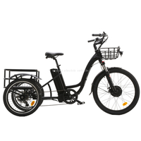 Tricycle électrique ET 02