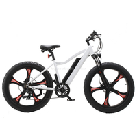 Ebicycle 32km/h Nouveaux vélos électriques promus