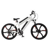 Vélo électrique EM 02D
