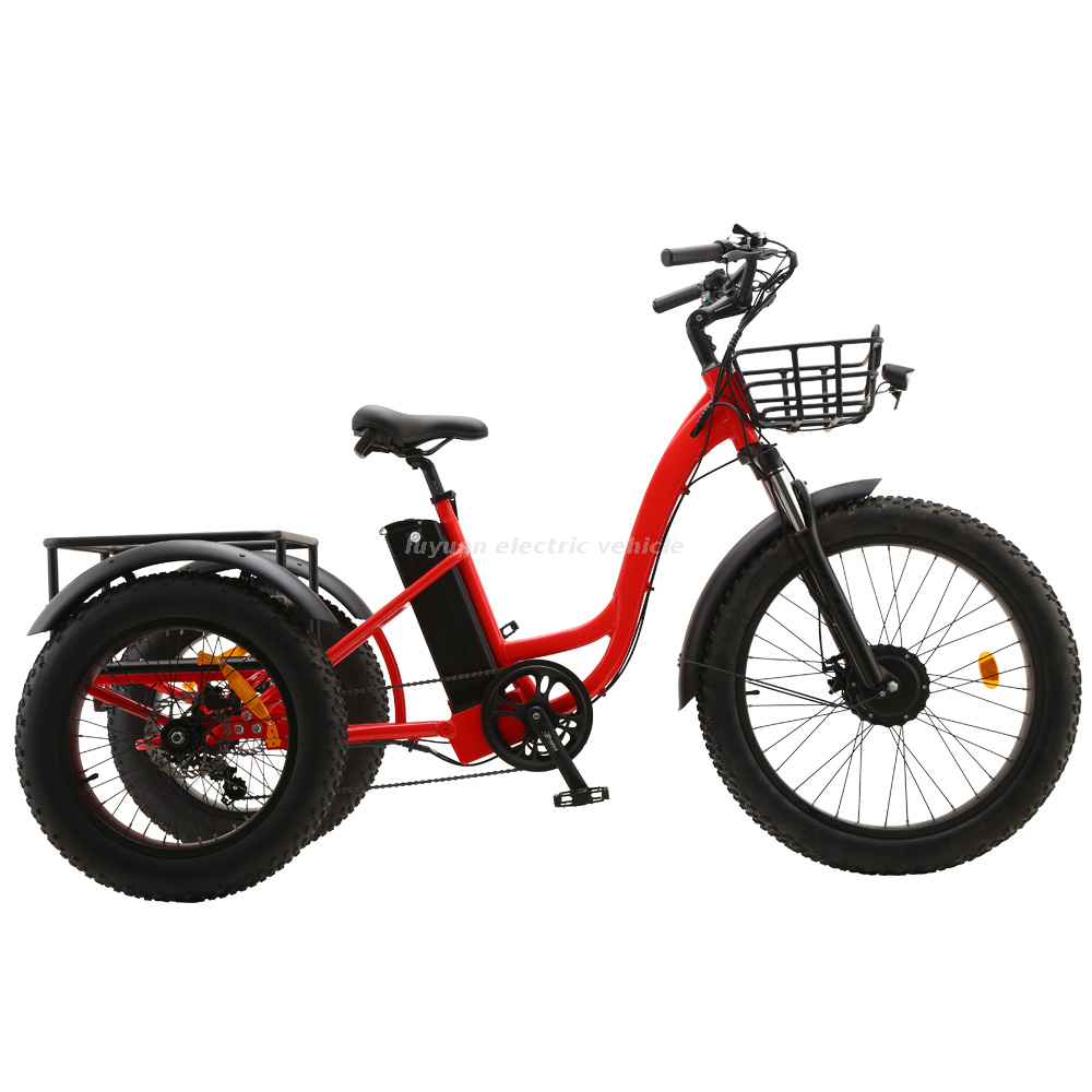 Tricycle électrique ET01