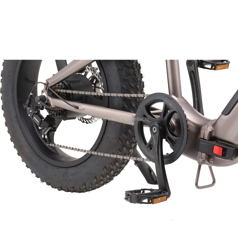 Vélo pliant électrique Fat Tire FB 02
